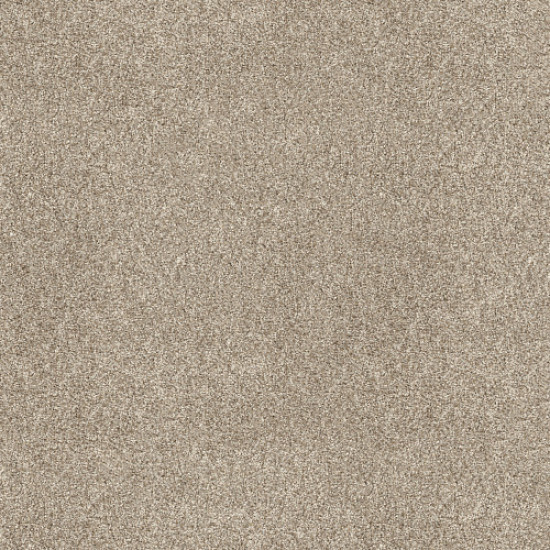 SHAKE IT UP (A) - Daytona Sand 00105 SHAKE IT UP (A) - Daytona Sand 00105