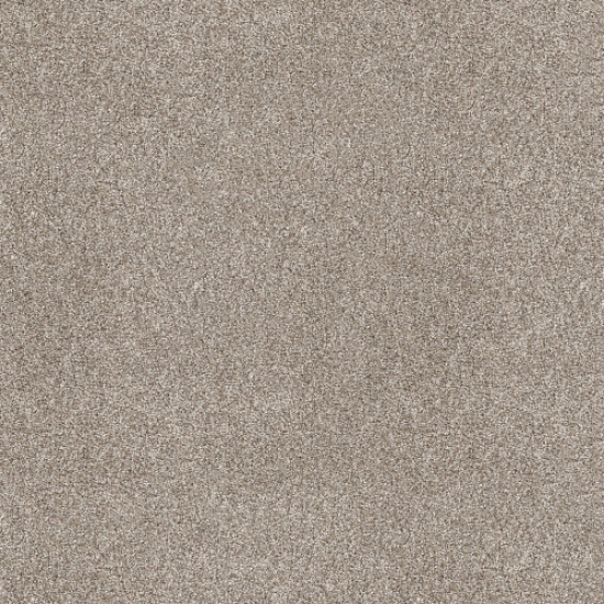 SHAKE IT UP (A) - Daytona Sand 00105 SHAKE IT UP (A) - Daytona Sand 00105