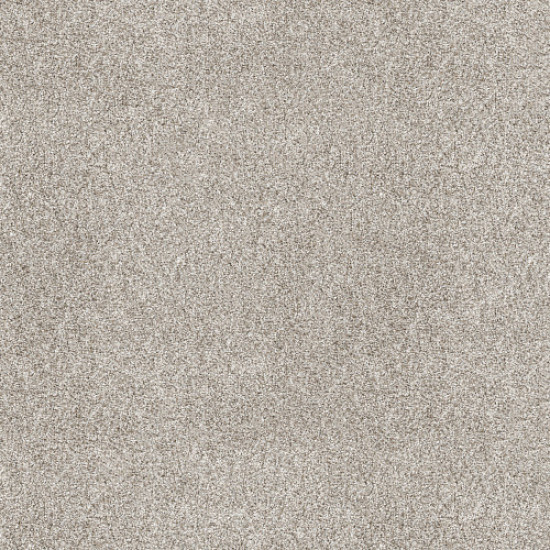 SHAKE IT UP (A) - Daytona Sand 00105 SHAKE IT UP (A) - Daytona Sand 00105