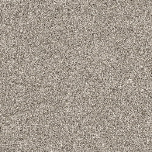 SHAKE IT UP (A) - Dawn Beige 00115