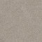 SHAKE IT UP (A) - Dawn Beige 00115