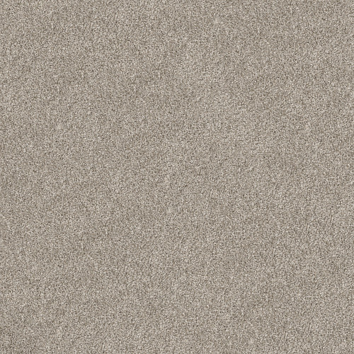 SHAKE IT UP (A) - Dawn Beige 00115