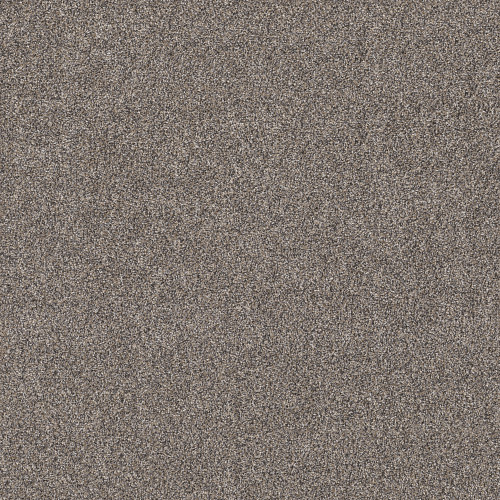 SHAKE IT UP (A) - Burnt Ash 00500