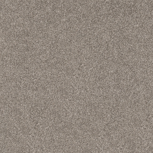SHAKE IT UP (A) - Overcast 00510