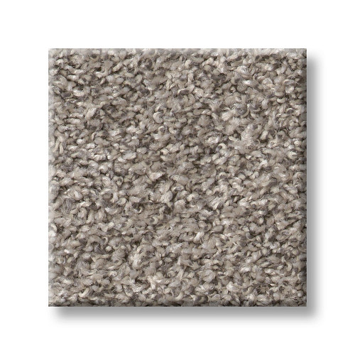 SHAKE IT UP (A) - Overcast 00510