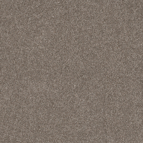 SHAKE IT UP (A) - English Oak 00700