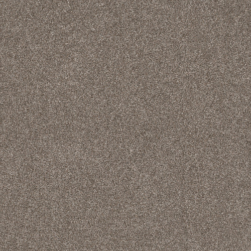 SHAKE IT UP (A) - English Oak 00700