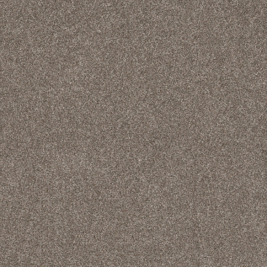 SHAKE IT UP (A) - English Oak 00700 SHAKE IT UP (A) - English Oak 00700