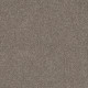 SHAKE IT UP (A) - English Oak 00700 SHAKE IT UP (A) - English Oak 00700