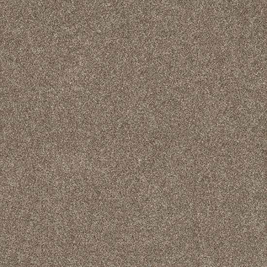 SHAKE IT UP (A) - English Oak 00700 SHAKE IT UP (A) - English Oak 00700