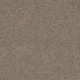 SHAKE IT UP (A) - English Oak 00700 SHAKE IT UP (A) - English Oak 00700