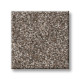 SHAKE IT UP (A) - English Oak 00700 SHAKE IT UP (A) - English Oak 00700