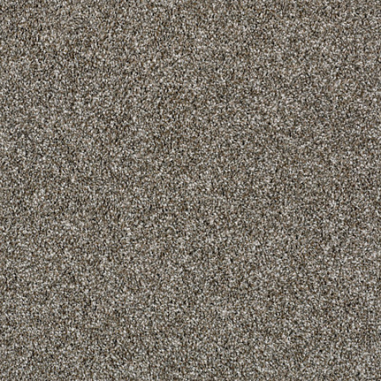 SHAKE IT UP (A) - English Oak 00700 SHAKE IT UP (A) - English Oak 00700