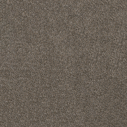 SHAKE IT UP (A) - Tree Bark 00706