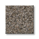 SHAKE IT UP (A) - Tree Bark 00706 SHAKE IT UP (A) - Tree Bark 00706