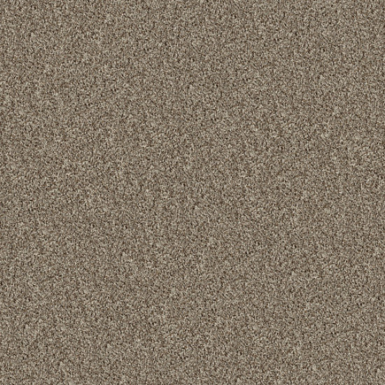 BREAK AWAY (T) - Almond 00111 BREAK AWAY (T) - Almond 00111