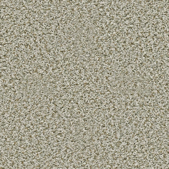 BREAK AWAY (T) - Stepping Stone 00123 BREAK AWAY (T) - Stepping Stone 00123