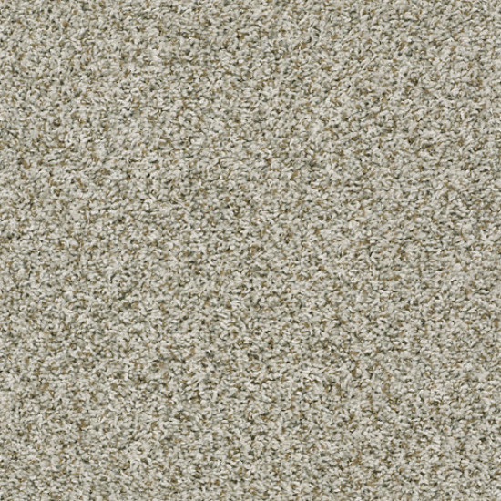 BREAK AWAY (T) - Stepping Stone 00123 BREAK AWAY (T) - Stepping Stone 00123