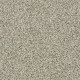 BREAK AWAY (T) - Stepping Stone 00123 BREAK AWAY (T) - Stepping Stone 00123