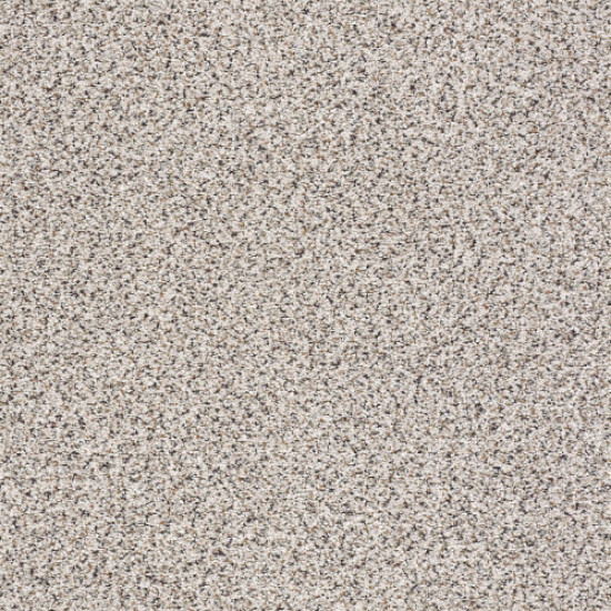 TAKE THE FLOOR ACCENT I - Italiano 00170