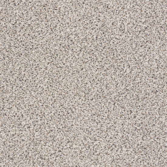TAKE THE FLOOR ACCENT I - Italiano 00170