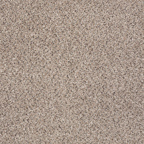 TAKE THE FLOOR ACCENT I - Everest 00176