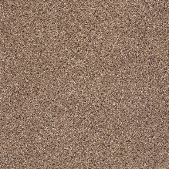 TAKE THE FLOOR ACCENT I - Baltic Brown 00770