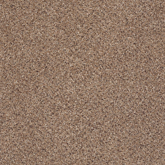 TAKE THE FLOOR ACCENT I - Baltic Brown 00770