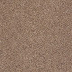 TAKE THE FLOOR ACCENT I - Baltic Brown 00770