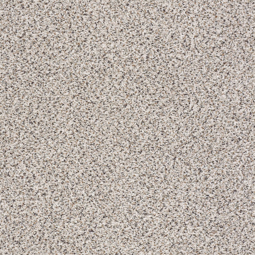 TAKE THE FLOOR ACCENT II - Italiano 00170