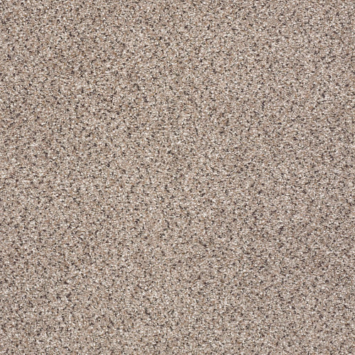 TAKE THE FLOOR ACCENT II - Everest 00176