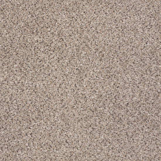 TAKE THE FLOOR ACCENT II - Everest 00176