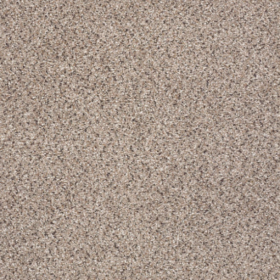 TAKE THE FLOOR ACCENT II - Everest 00176