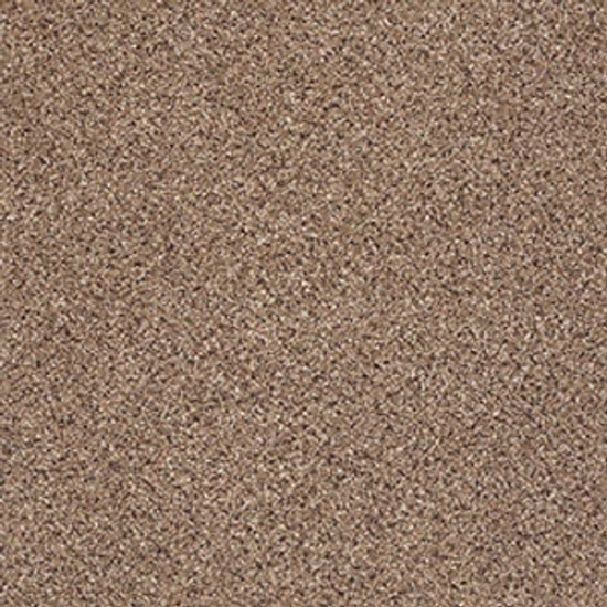 TAKE THE FLOOR ACCENT II - Baltic Brown 00770