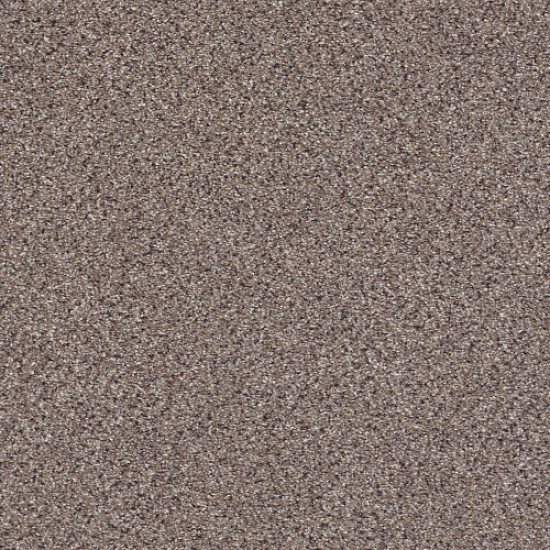 TAKE THE FLOOR ACCENT II - Storm 00771