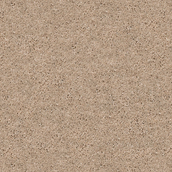 SHAKE IT UP (S) - Sea Floor 00110 SHAKE IT UP (S) - Sea Floor 00110