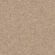 SHAKE IT UP (S) - Sea Floor 00110 SHAKE IT UP (S) - Sea Floor 00110