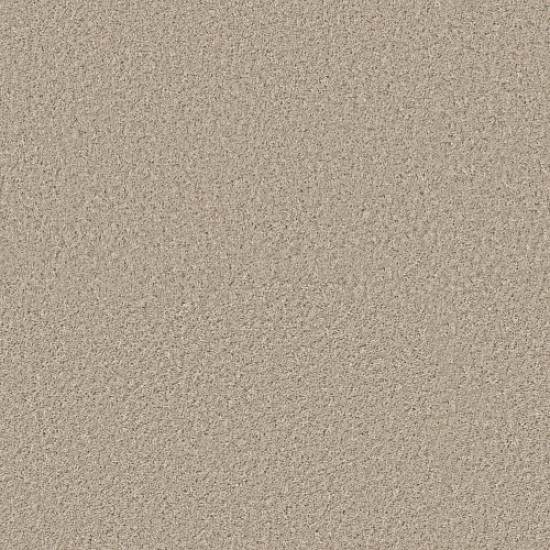 SHAKE IT UP (S) - Sea Floor 00110 SHAKE IT UP (S) - Sea Floor 00110