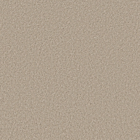 SHAKE IT UP (S) - Sea Floor 00110 SHAKE IT UP (S) - Sea Floor 00110