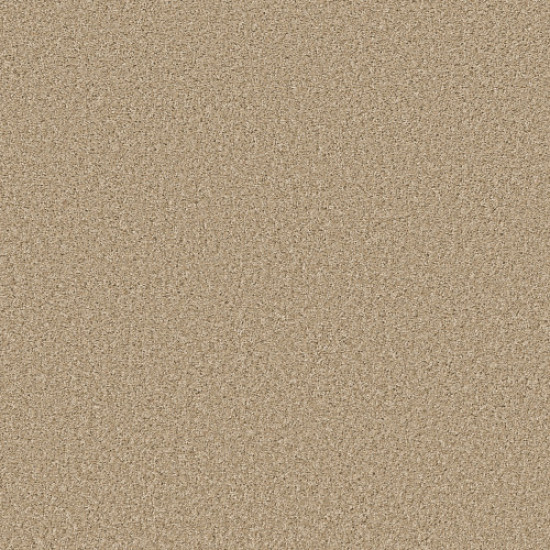 SHAKE IT UP (S) - Desert Sand 00210 SHAKE IT UP (S) - Desert Sand 00210