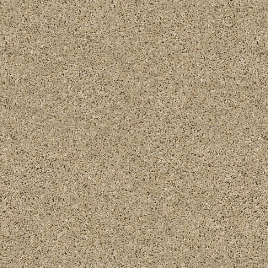 SHAKE IT UP (S) - Desert Sand 00210 SHAKE IT UP (S) - Desert Sand 00210