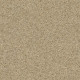 SHAKE IT UP (S) - Desert Sand 00210 SHAKE IT UP (S) - Desert Sand 00210