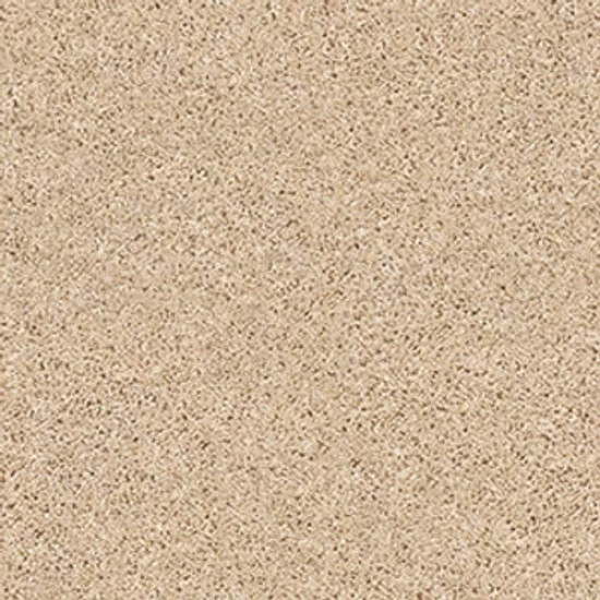 SHAKE IT UP (S) - Desert Sand 00210 SHAKE IT UP (S) - Desert Sand 00210