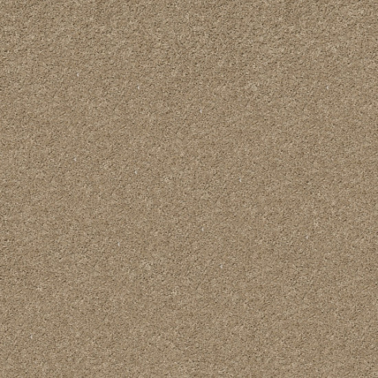 SHAKE IT UP (S) - Desert Sand 00210 SHAKE IT UP (S) - Desert Sand 00210