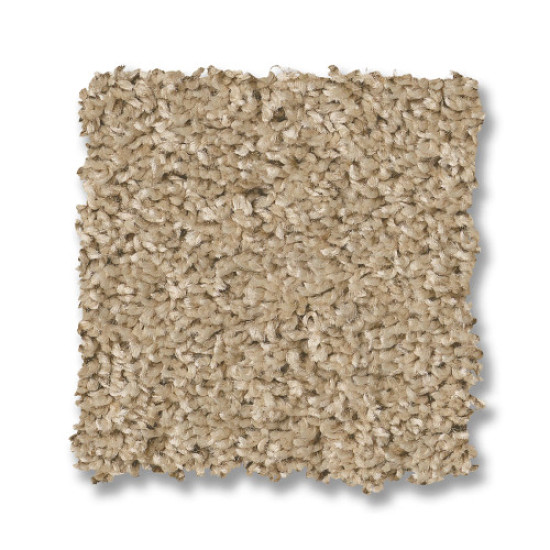 SHAKE IT UP (S) - Desert Sand 00210 SHAKE IT UP (S) - Desert Sand 00210