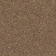 SHAKE IT UP (S) - Sweet As Honey 00211 SHAKE IT UP (S) - Sweet As Honey 00211
