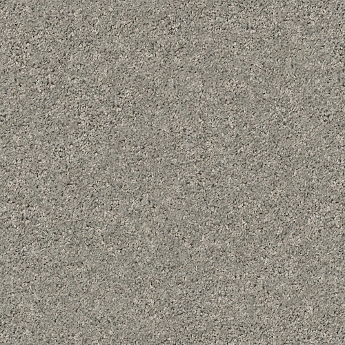 SHAKE IT UP (S) - Cement 00510