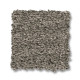 SHAKE IT UP (S) - Cement 00510 SHAKE IT UP (S) - Cement 00510