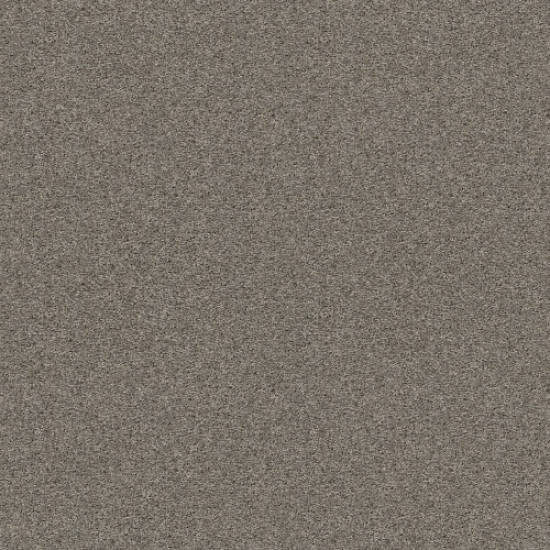 SHAKE IT UP (S) - Cement 00510 SHAKE IT UP (S) - Cement 00510
