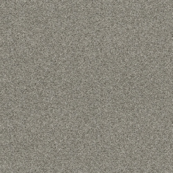 SHAKE IT UP (S) - Cement 00510 SHAKE IT UP (S) - Cement 00510